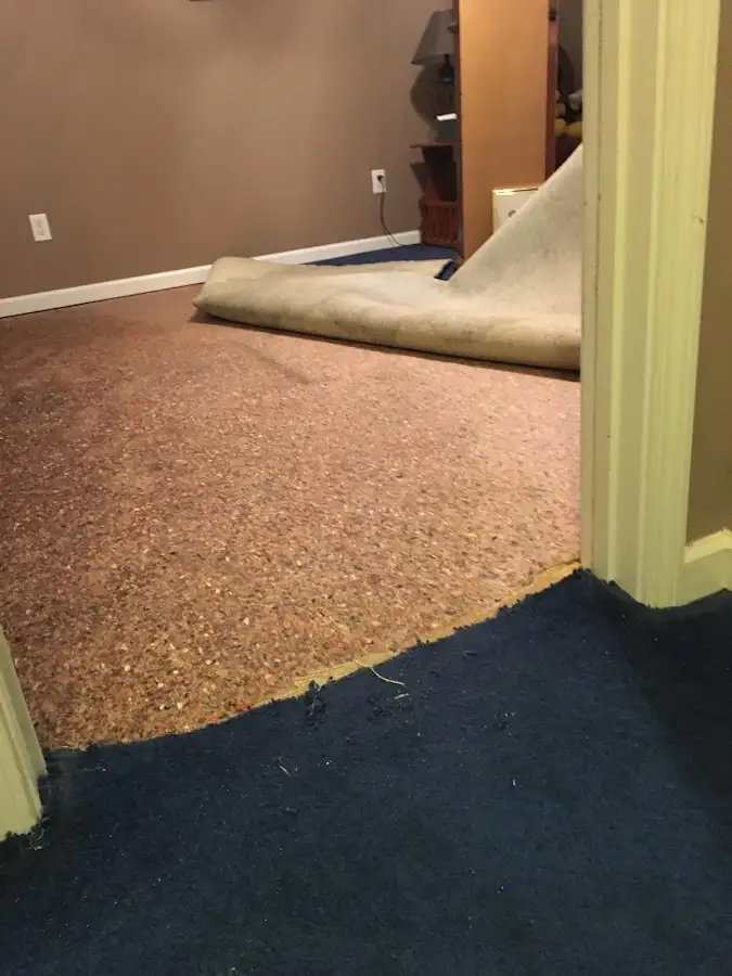 Carpet pad removal revealing water damage during Drying & Dehumidification in Kaukauna