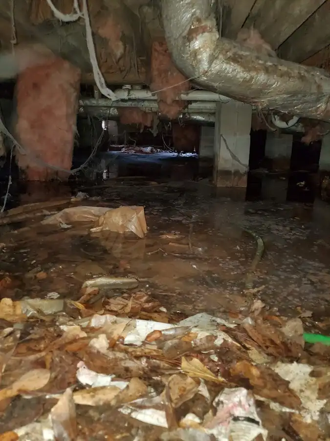 Crawl space flood assessment for Leak Detection & Repair in Kaukauna