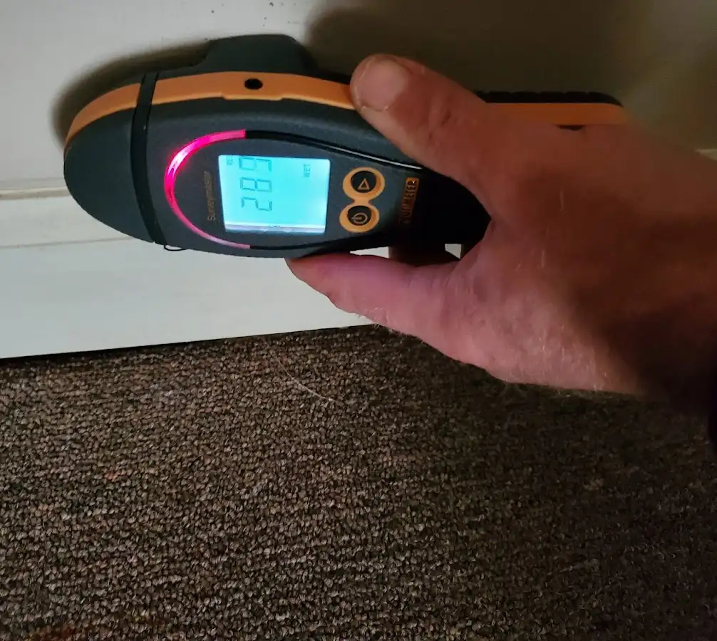 Moisture detection at baseboard during Mold Inspection & Testing in Kaukauna